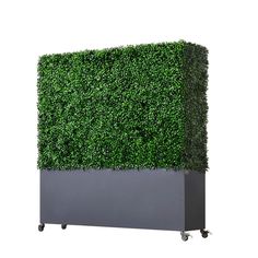 an artificial boxwood hedge is placed in a gray planter on casteors and wheels