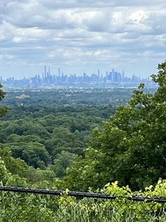 a view of the city skyline from an overlook point with trees and bushes in foreground