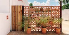 a wooden fence with potted plants in front of it on a brick patio next to a white building