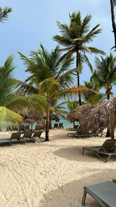 lounge chairs and umbrellas on the beach with palm trees