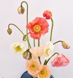 an arrangement of flowers in a blue vase