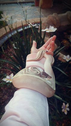 a hand that has a snake on it's arm in front of some flowers