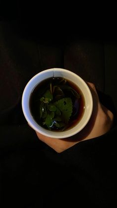 a person holding a white bowl filled with soup and green leafy garnish