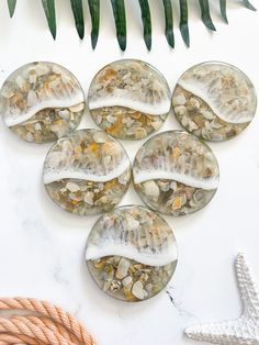 six glass coasters with shells and seashells in them on a white surface