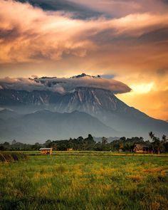 a large mountain is in the distance with green grass