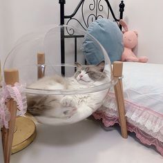 a cat laying in a glass bowl on a bed