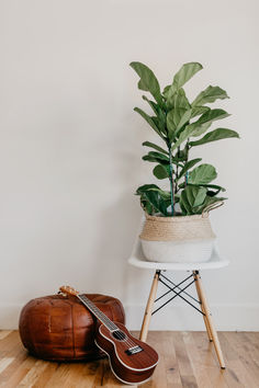 a guitar sitting on top of a wooden floor next to a plant in a pot