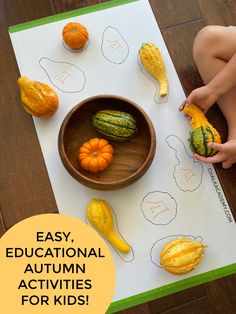 educational activities for kids, thanksgiving Fall Food Activities For Preschool, Gourd Preschool Activities, Montessori Pumpkin Unit, Preschool Activities Pumpkin, Pumpkin Montessori Activities, Montessori Thanksgiving, Gourd Art Ideas, Twos Classroom