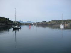 several sailboats floating in the water on a cloudy day