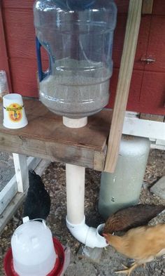 chickens are drinking water out of a plastic jug on a shelf next to a chicken coop