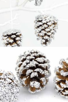 pine cones are covered in snow and sitting next to each other