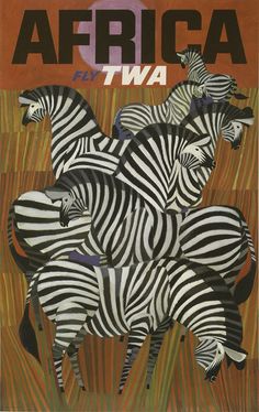 an advertisement for africa with zebras on the front and back cover, which reads'welcome to the world of african airlines '