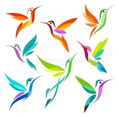 colorful hummingbirds flying in the sky