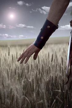 a person's hand reaching out from the middle of a wheat field at night