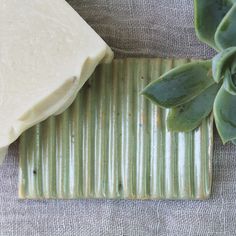 a soap bar sitting on top of a green plate next to a succulent