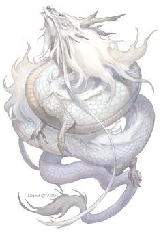 a drawing of a white dragon sitting on top of it's back with its tail curled