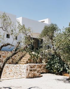 an outdoor area with stone steps and trees in front of a white building on a sunny day