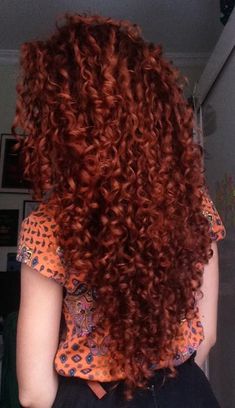 Dyed Curly Hair, Cortes De Cabello, Hair Color Options, Ginger Hair Color, No Poo, Colored Curly Hair, Auburn Hair, Red Hair Color