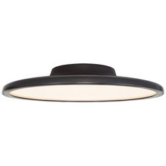 the ceiling light is black and has an oval shade on it's side,