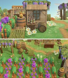 two screens showing the different stages of growing plants and flowers in animal crossing village, which includes an old wooden wagon with wine barrels on it's roof