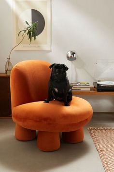 a small black dog sitting on an orange chair