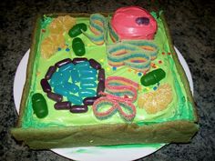 there is a cake that looks like a turtle