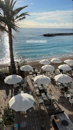 tables and umbrellas are set up on the deck overlooking the ocean with palm trees