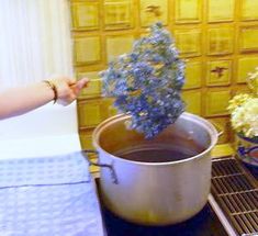 a pot filled with blue flowers sitting on top of a stove