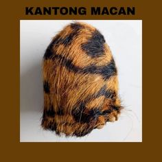 an animal's hair is shown with the caption that reads, kantong macan