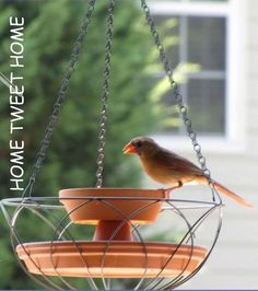 a bird is sitting on top of a feeder