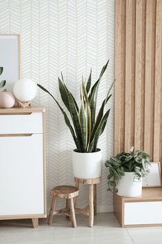 there is a potted plant on the floor next to two stools and a cabinet