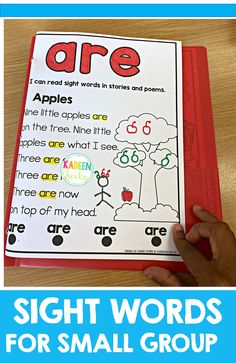 the sight words for small groups are displayed in front of a red folder with blue border