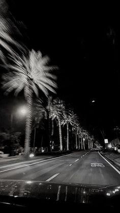 a black and white photo of palm trees on the side of a road at night