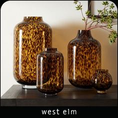 three brown vases sitting on top of a black table next to a plant in a vase