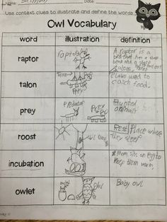 an owl worksheet with words and pictures for each word in the text box