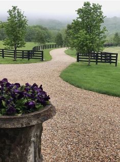 there is a planter with purple flowers in the middle of a gravel path that leads to a black fence