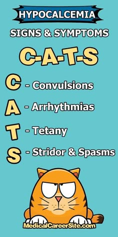 a poster with cats on it that says hypocalemia signs and symptoms