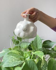 a person is spraying water on a plant with a white cloud shaped watering can in front of them