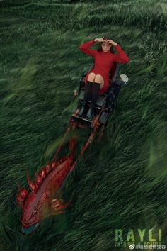 a woman riding on the back of a red horse drawn carriage through tall green grass