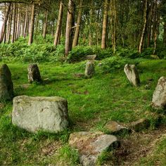 some rocks in the grass and trees