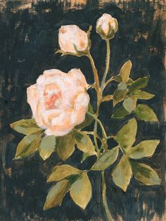 a painting of two white roses with green leaves on a black background, one is still blooming