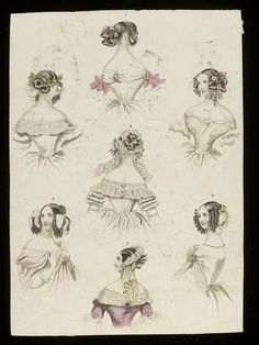 Frog Anatomy, Victorian Hair, American Hairstyles