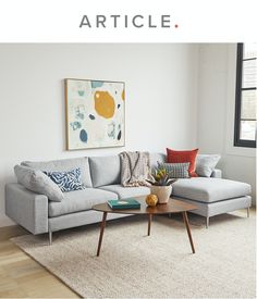 a living room with a couch, coffee table and paintings on the wall behind it