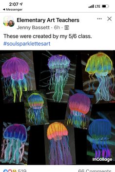 many different colored jellyfishs are shown together