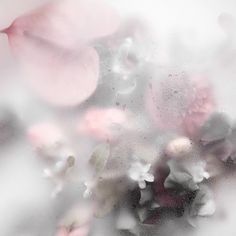 some pink and white flowers are on the window sill with water droplets all over them