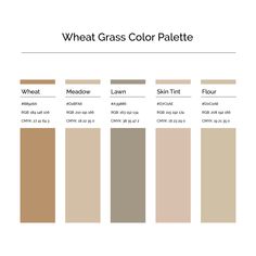 the color palette for wheat grass