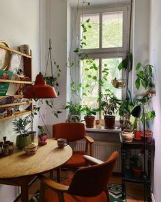 a living room filled with furniture and lots of plants