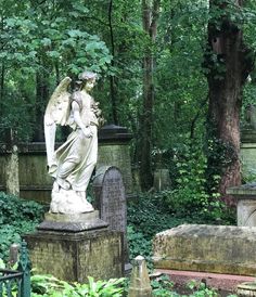 an angel statue sitting in the middle of a cemetery surrounded by trees and bushes,