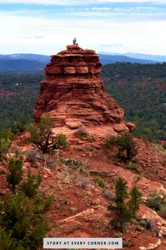 a person standing on top of a red rock formation in the middle of a forest