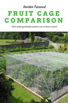 a garden greenhouse with the words fruit cage comparison